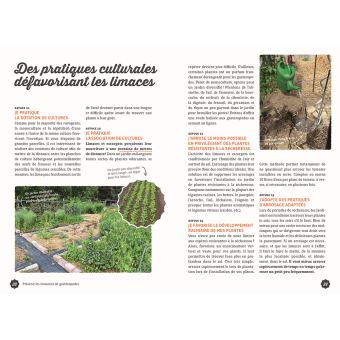 Gestion écologique des limaces et des escargots au jardin - 35 techniques & astuces qui fonctionnent