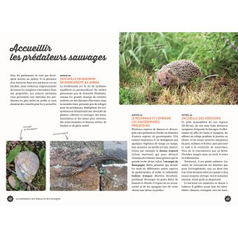 Gestion écologique des limaces et des escargots au jardin - 35 techniques & astuces qui fonctionnent