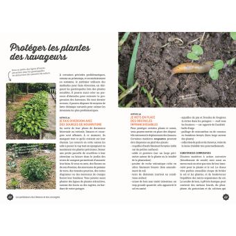 Gestion écologique des limaces et des escargots au jardin - 35 techniques & astuces qui fonctionnent