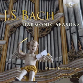 HARMONIC SEASON