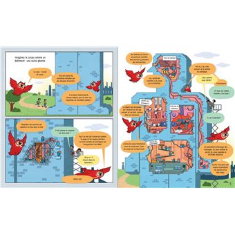 Le corps humain - Mon grand livre illustré