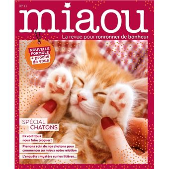 Miaou n°11 - spécial chatons