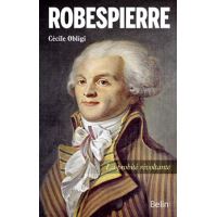 Robespierre, La probité révoltante