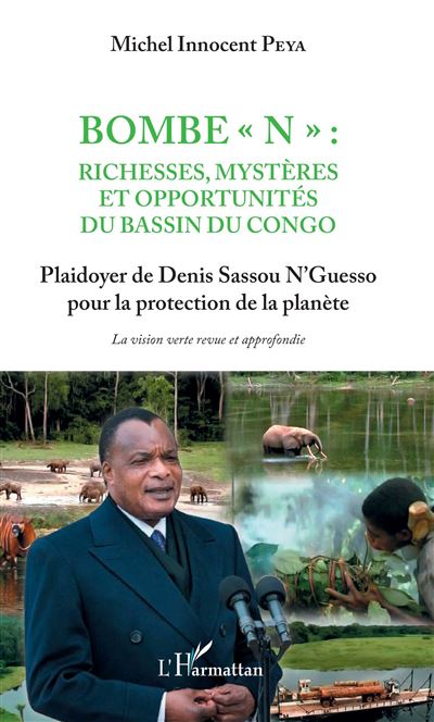 Bombe N : Richesses, mystères et opportunités du bassin du Congo - Michel Innocent Peya - broché