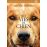 Mes vies de chien DVD_1