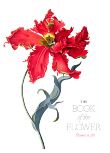 The Book of the Flower : Flowers in Art