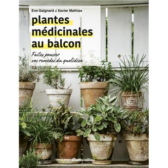 Plantes médicinales au balcon. Faites pousser vos remèdes du quotidien