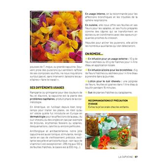 Plantes médicinales au balcon. Faites pousser vos remèdes du quotidien