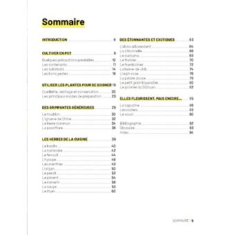 Plantes médicinales au balcon. Faites pousser vos remèdes du quotidien