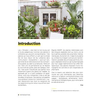 Plantes médicinales au balcon. Faites pousser vos remèdes du quotidien