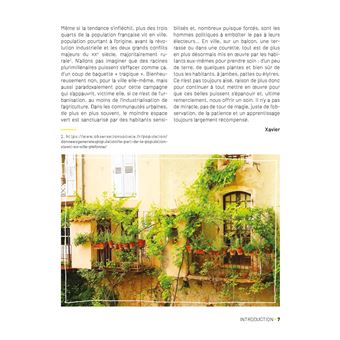 Plantes médicinales au balcon. Faites pousser vos remèdes du quotidien