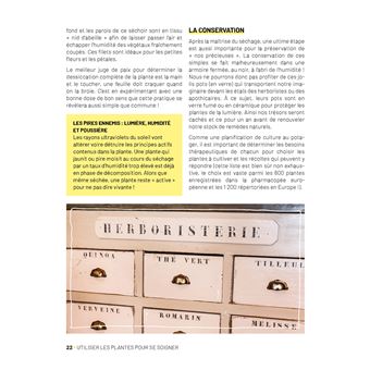 Plantes médicinales au balcon. Faites pousser vos remèdes du quotidien