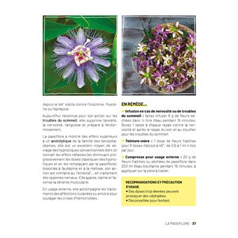 Plantes médicinales au balcon. Faites pousser vos remèdes du quotidien