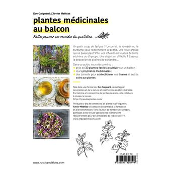 Plantes médicinales au balcon. Faites pousser vos remèdes du quotidien