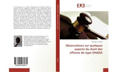 Observations sur quelques aspects du droit des affaires de t