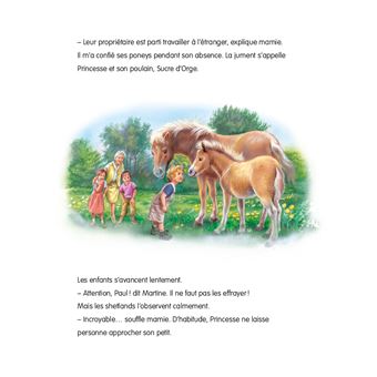 Martine, un amour de poney - Edition spéciale 2019