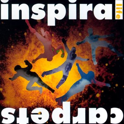 Life Inclus DVD bonus