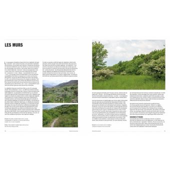 Plantations naturalistes - Introduire la nature dans les espaces verts et les jardins