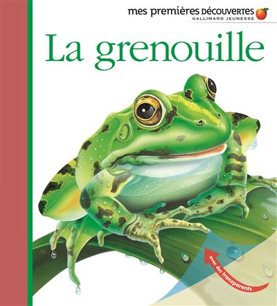 La grenouille -  Collectif - cartonné