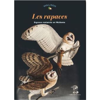 Rapaces en Wallonie et à Bruxelles