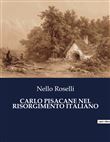 Carlo pisacane nel risorgimento italiano