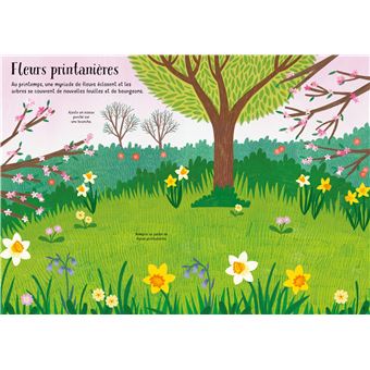 Les fleurs - Mes petits autocollants Usborne
