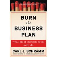 Burn the Business Plan