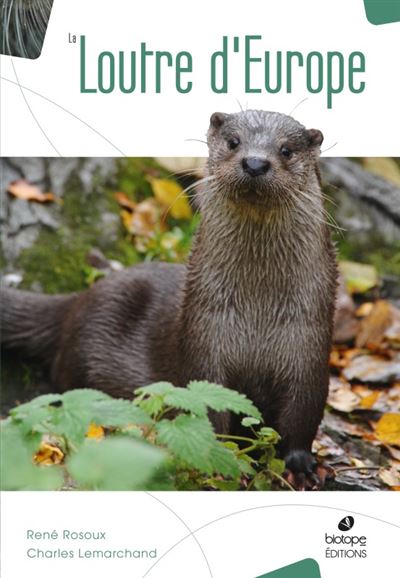 Articles De Loutre - Temu France