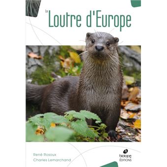 La loutre d'europe