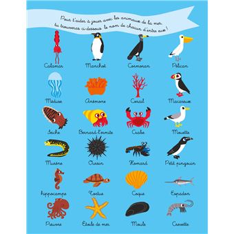 Cahier de jeux des animaux de la mer