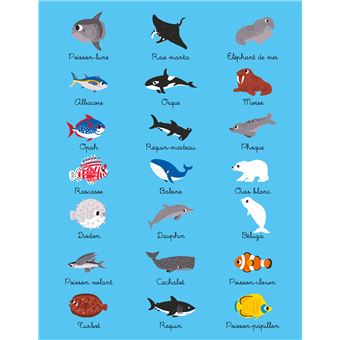 Cahier de jeux des animaux de la mer
