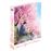Josée, le tigre et les poissons - Édition Collector Blu-ray + DVD