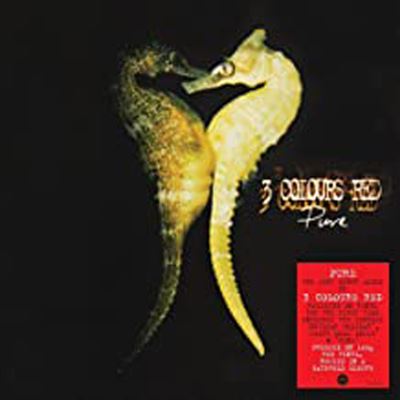 Pure Vinyle Rouge