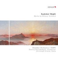 Summer Night