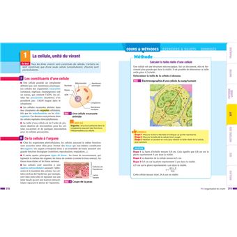 Prépabac Le tout-en-un 2de (toutes les matières)