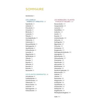 Toutes les plantes pour l'ombre