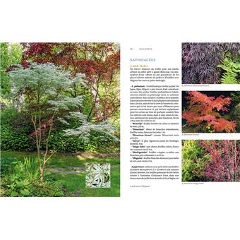 Toutes les plantes pour l'ombre