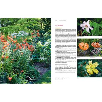 Toutes les plantes pour l'ombre