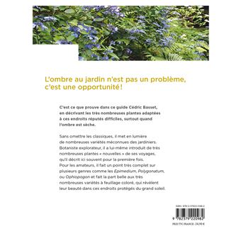 Toutes les plantes pour l'ombre