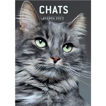 Calendrier 2024 Avec Des Chats Image To U   Agenda Des Chats 2023 