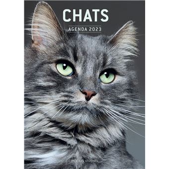 Calendrier Le chat et ses amis 2024 - broché - Collectif, Livre tous les  livres à la Fnac