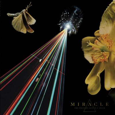 STRIFE OF LOVE IN A DREAM/LP