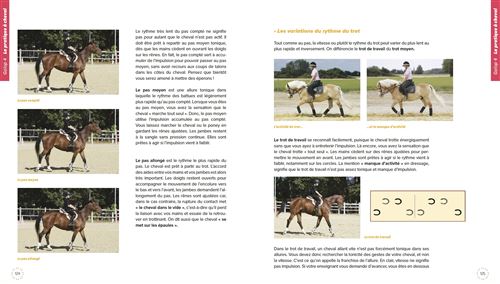 Livre Les fondamentaux de l'équitation Galops 5 à 7 Amphora - Livre  équitation - Amphora - Le Paturon