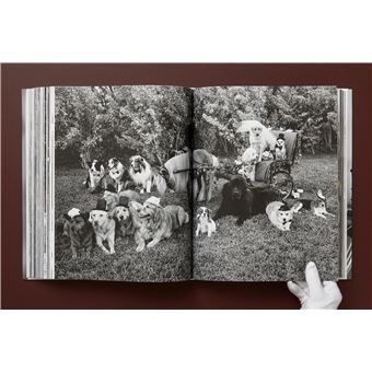 Bruce Weber. The Golden Retriever Photographic Society