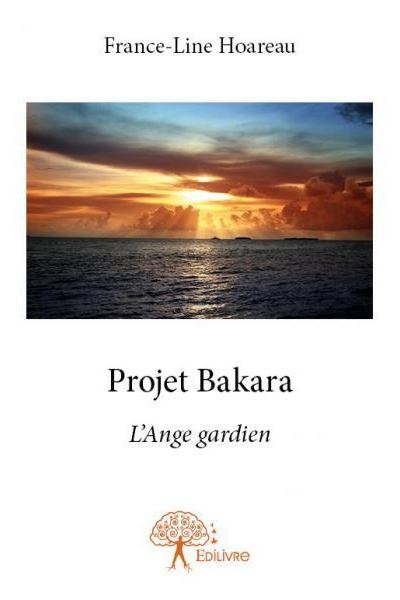 Projet Bakara