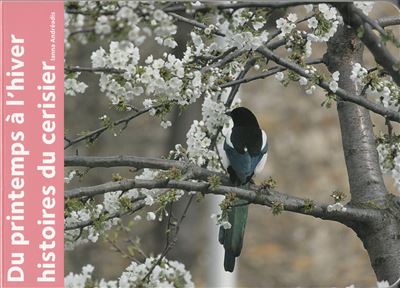 Du printemps à l'hiver : histoires du cerisier