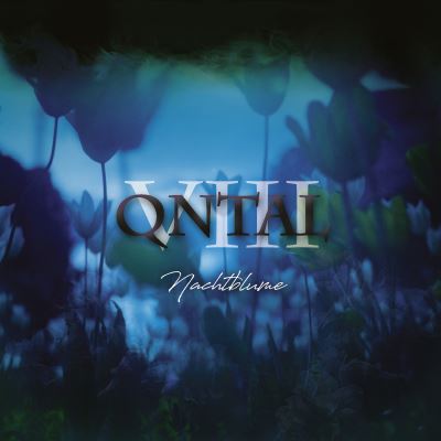 Viii nachtblume