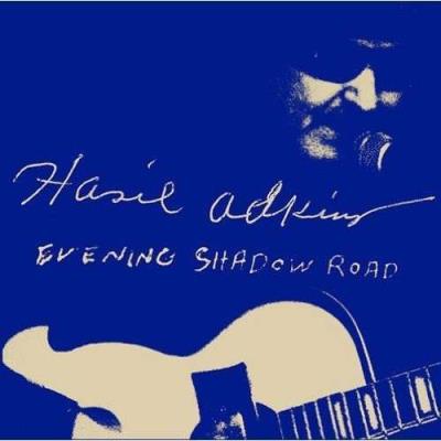 Evening shadow road