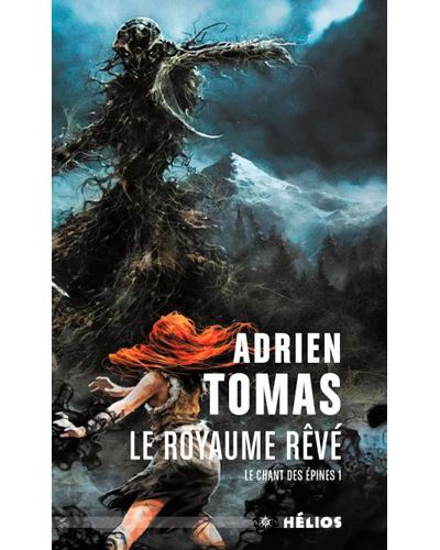 Chant des épines, tome 1 - Le royaume rêvé - Alain Brion - Poche