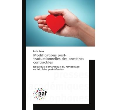 Modifications post-traductionnelles des proteines contractil